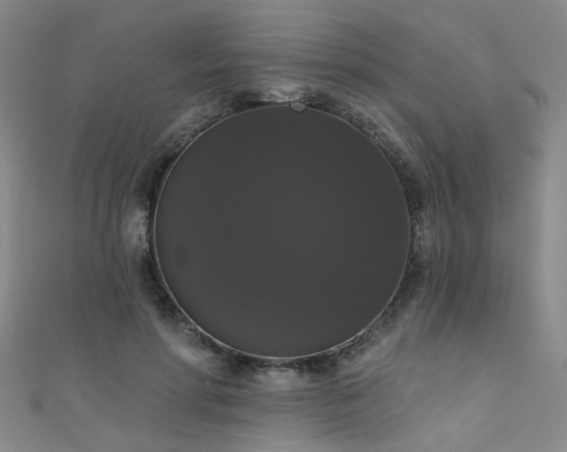 X0000111520598200907141509
