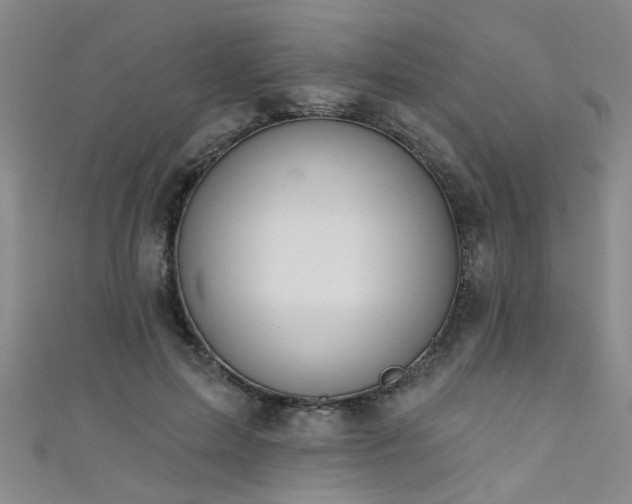X0000111520599200907141509