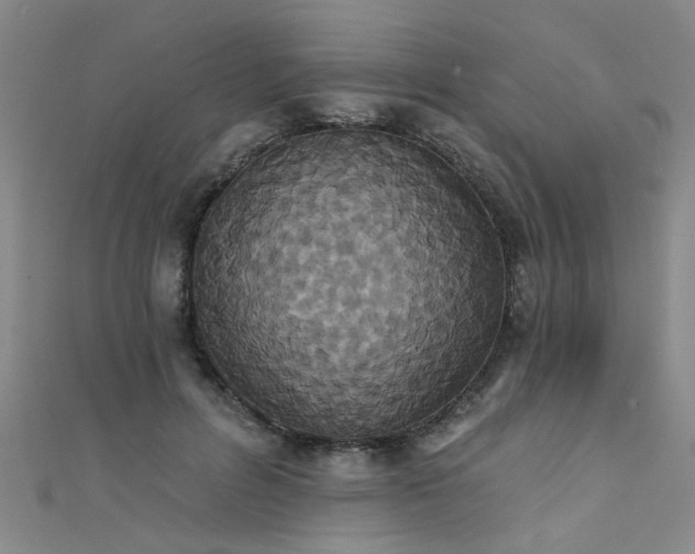 X0000111520600200907141509