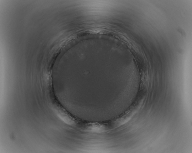 X0000111520601200907141509