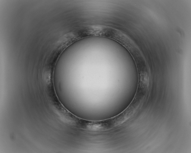 X0000111520602200907141509