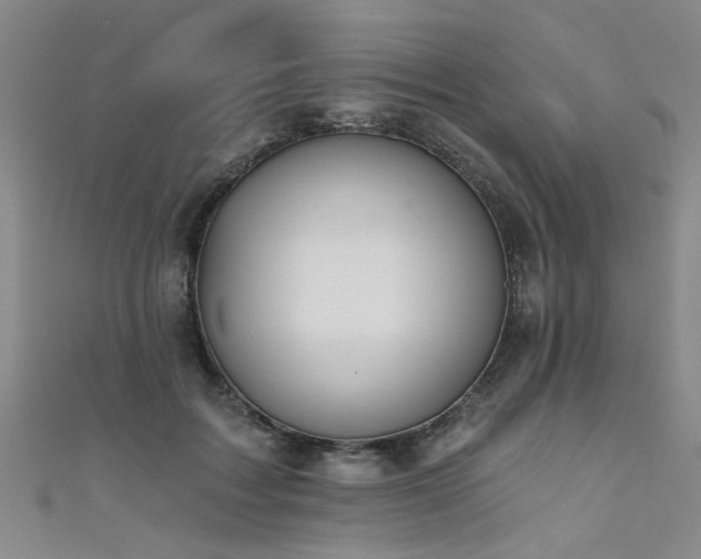 X0000111520603200907141509