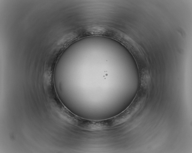 X0000111520604200907141509
