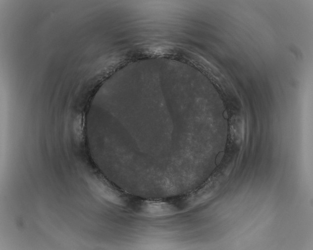 X0000111520605200907141509