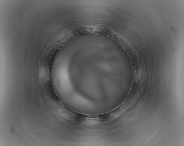 X0000111520606200907141509