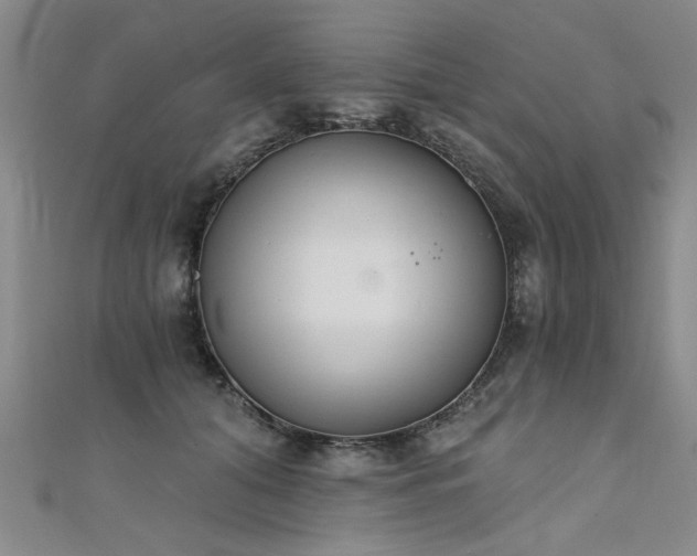 X0000111520608200907141509
