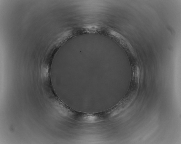 X0000111520610200907141509