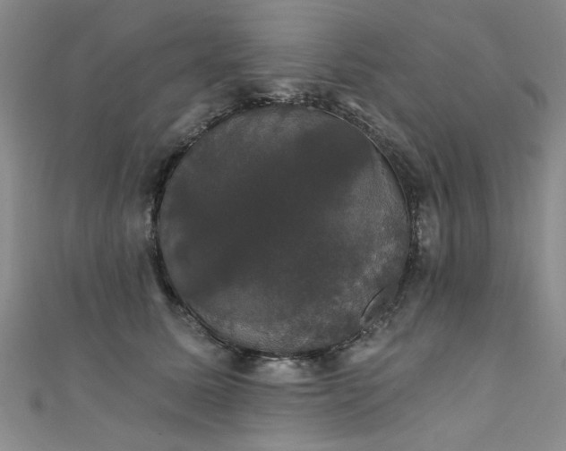 X0000111520611200907141509