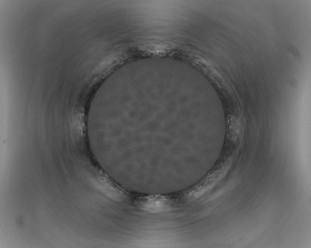 X0000111520612200907141509
