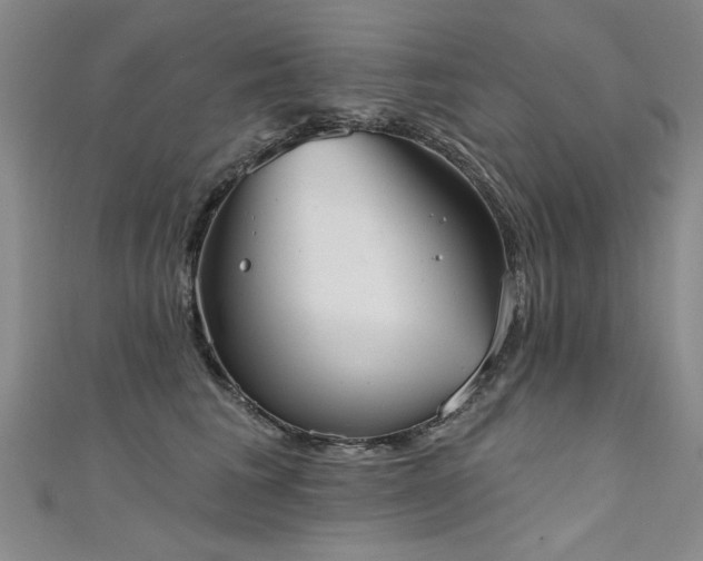X0000111520613200907141509