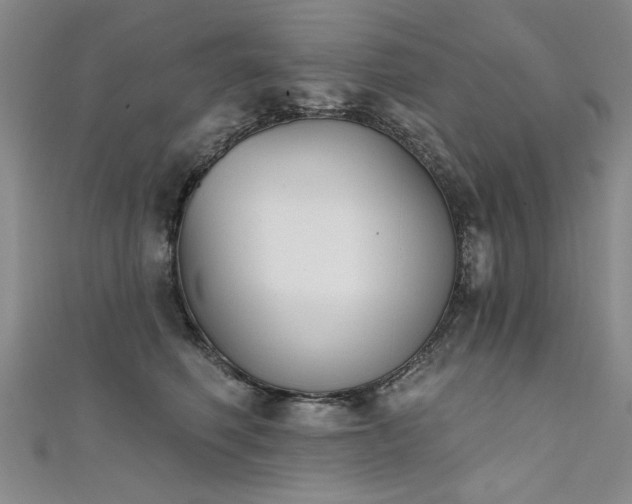 X0000111520614200907141509