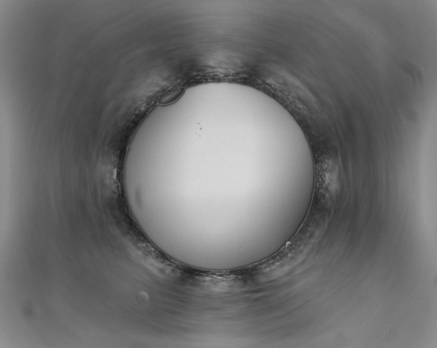 X0000111520615200907141509