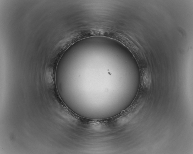 X0000111520616200907141509