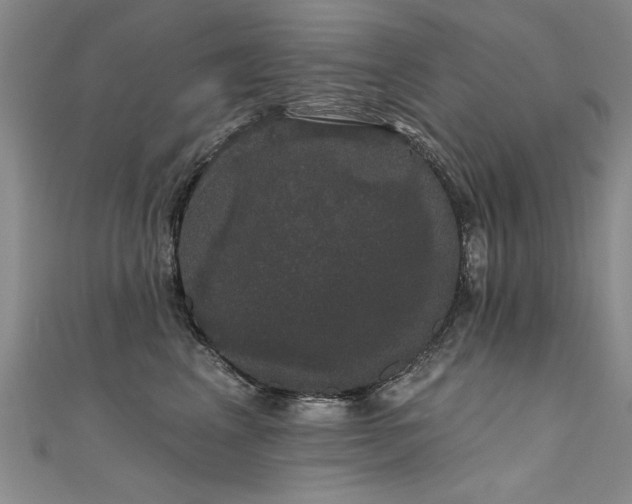 X0000111520617200907141509
