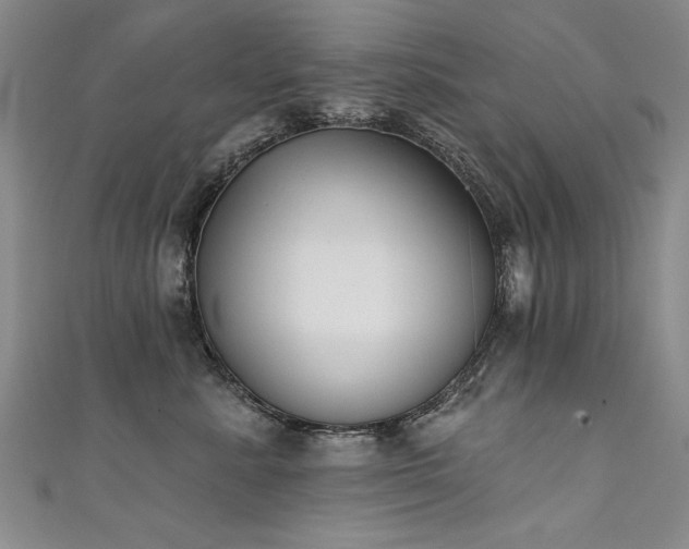 X0000111520619200907141509