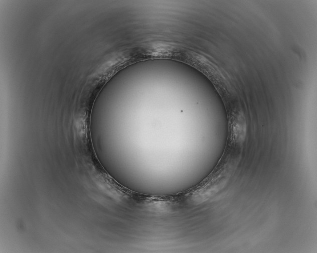 X0000111520620200907141509