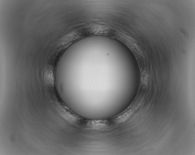 X0000111520622200907141509