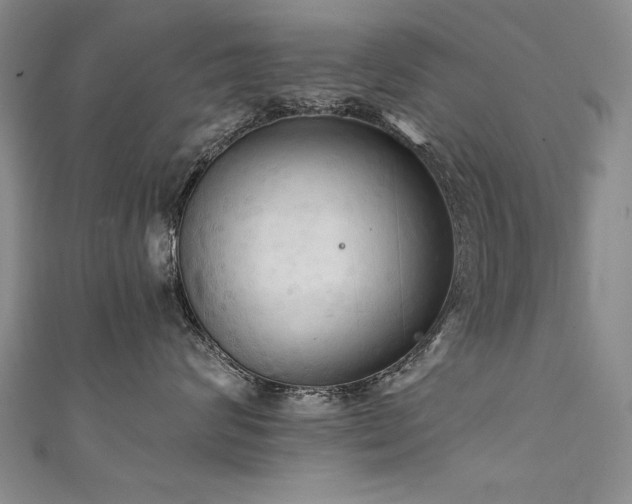X0000111520624200907141509