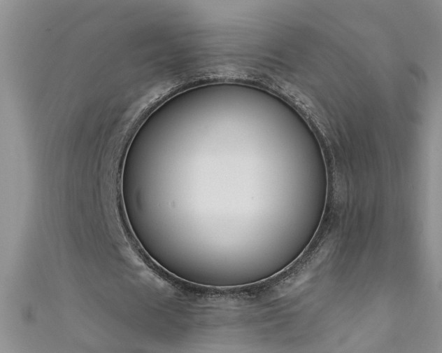 X0000111520625200907141508