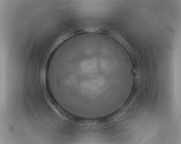 X0000111520626200907141508