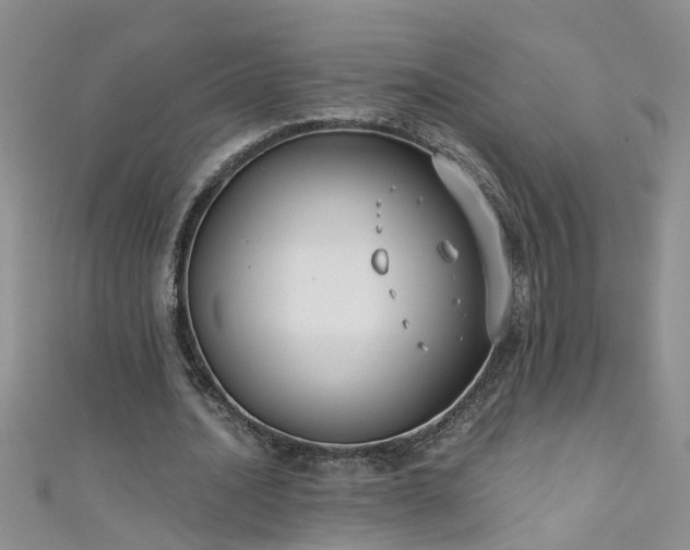 X0000111520628200907141508