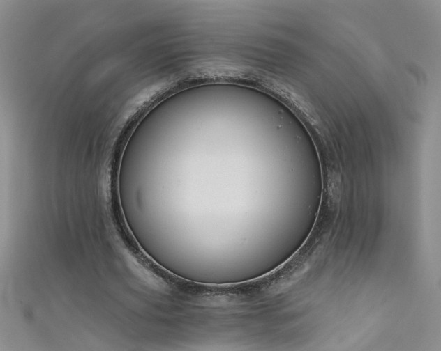 X0000111520629200907141508