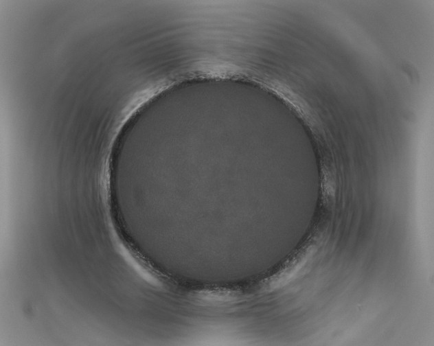 X0000111520630200907141508