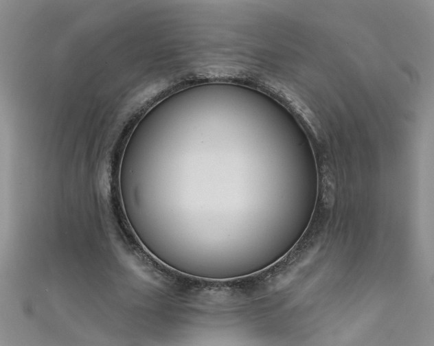X0000111520631200907141508