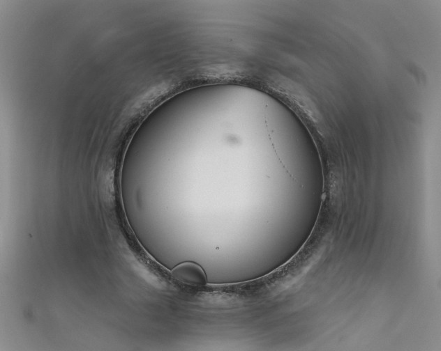 X0000111520633200907141508