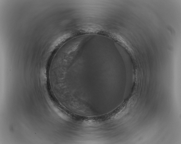 X0000111520634200907141508