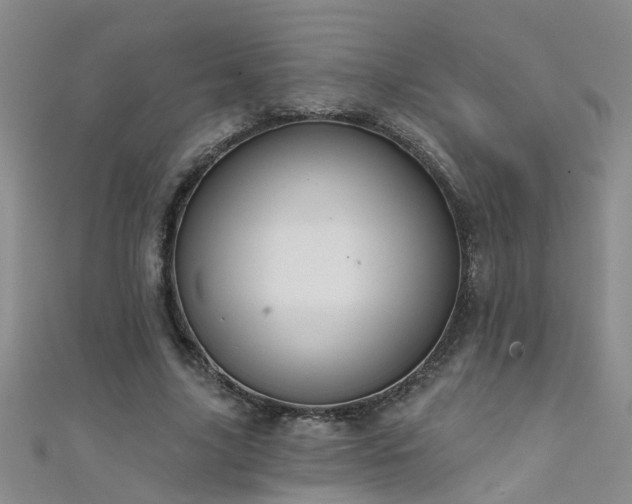 X0000111520635200907141508