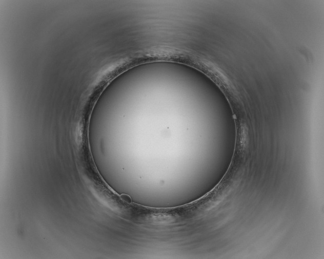 X0000111520636200907141508