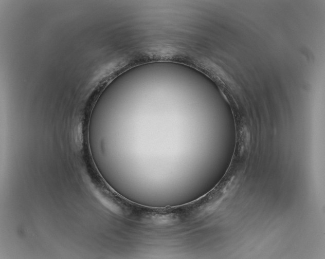X0000111520638200907141508