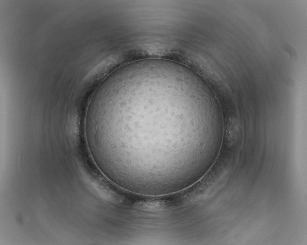 X0000111520639200907141508