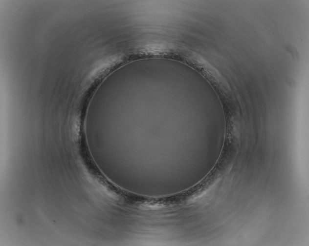 X0000111520640200907141508