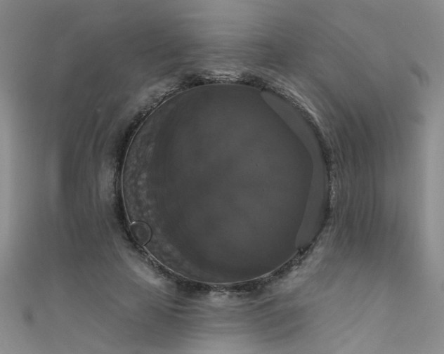 X0000111520641200907141508