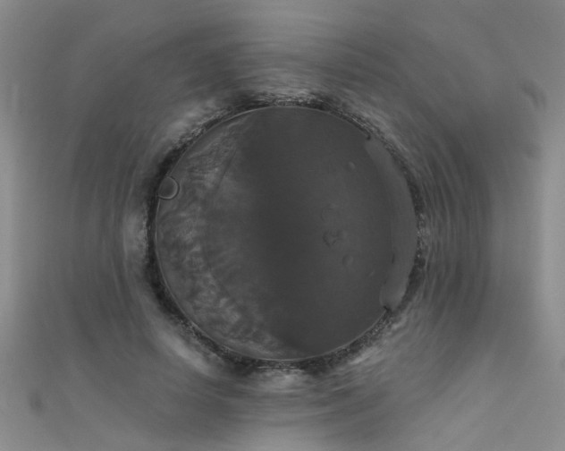 X0000111520642200907141508