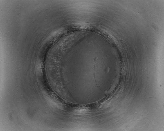 X0000111520643200907141508
