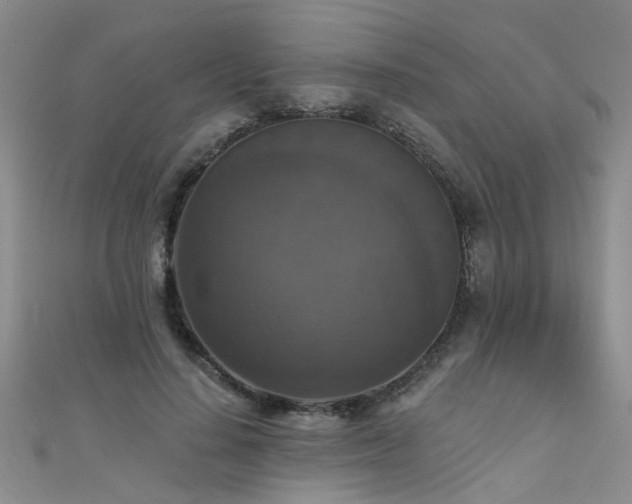X0000111520644200907141508