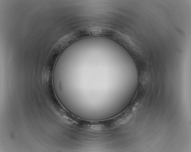 X0000111520645200907141508