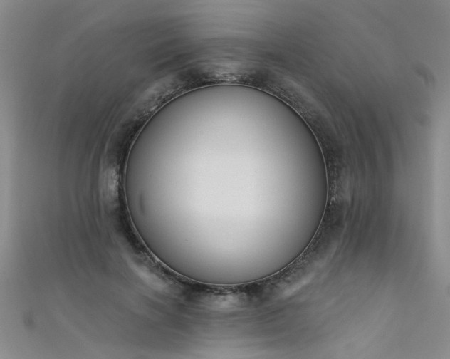 X0000111520646200907141508