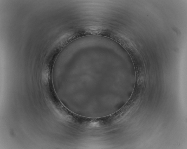 X0000111520647200907141508
