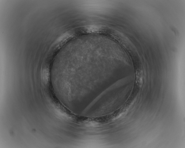 X0000111520648200907141509