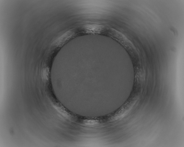 X0000111520649200907141509