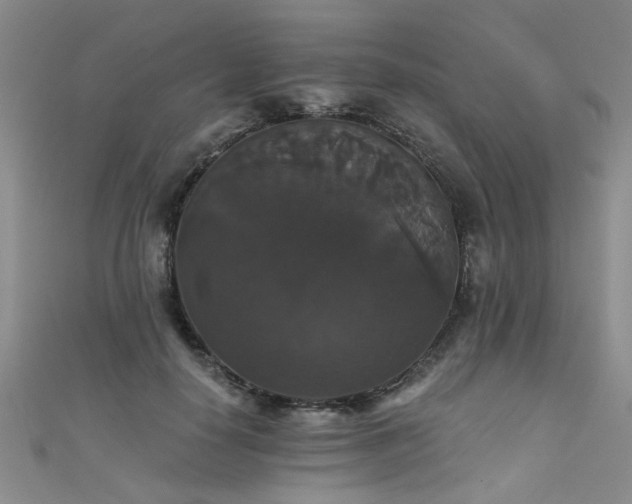 X0000111520650200907141509