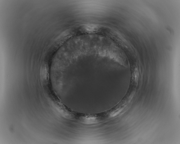 X0000111520651200907141509
