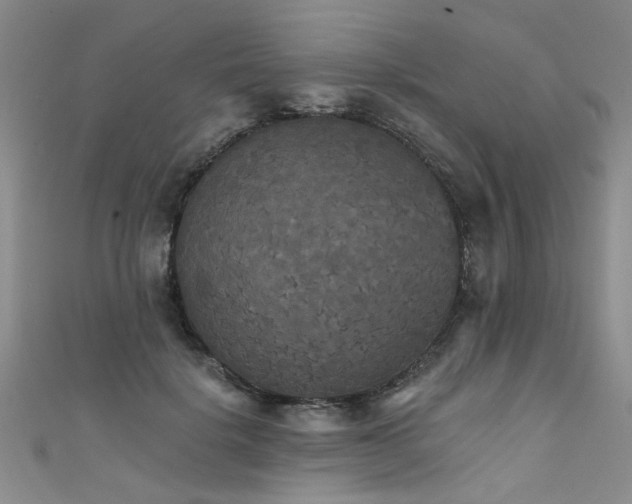 X0000111520652200907141509