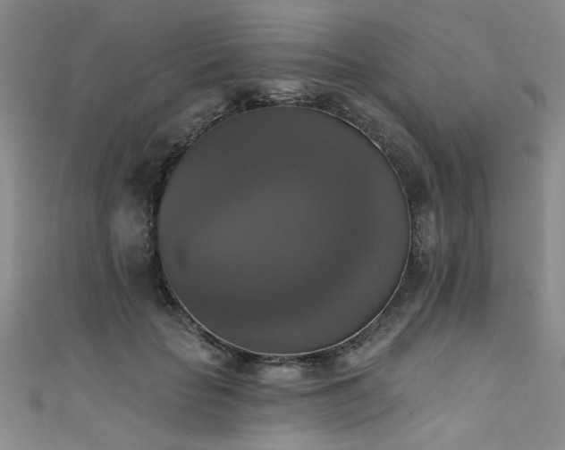 X0000111520653200907141509