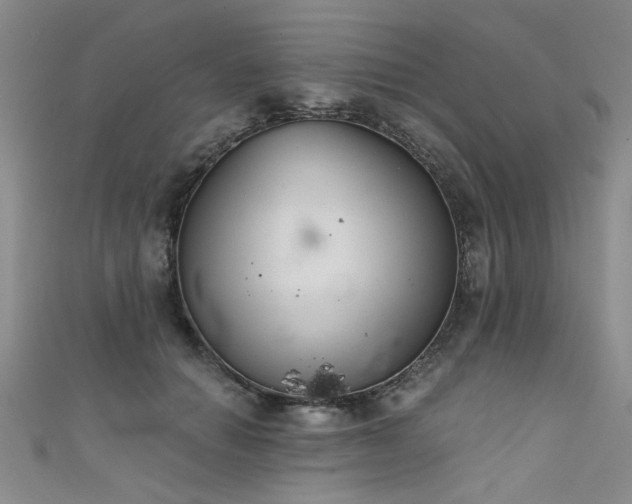 X0000111520654200907141509