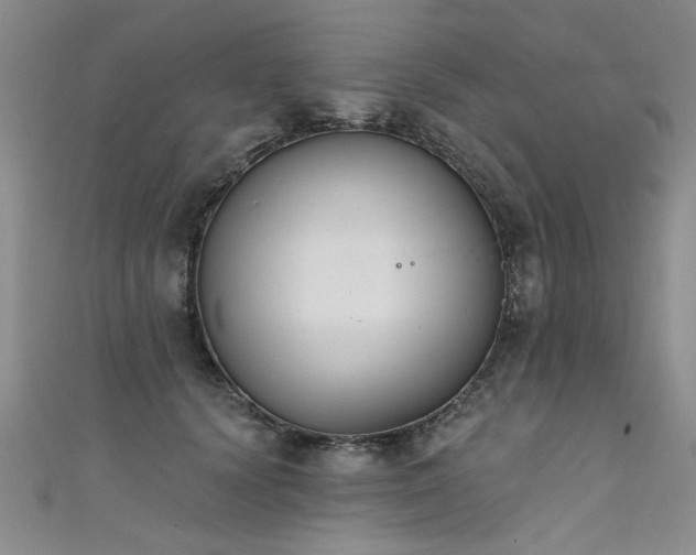 X0000111520656200907141509